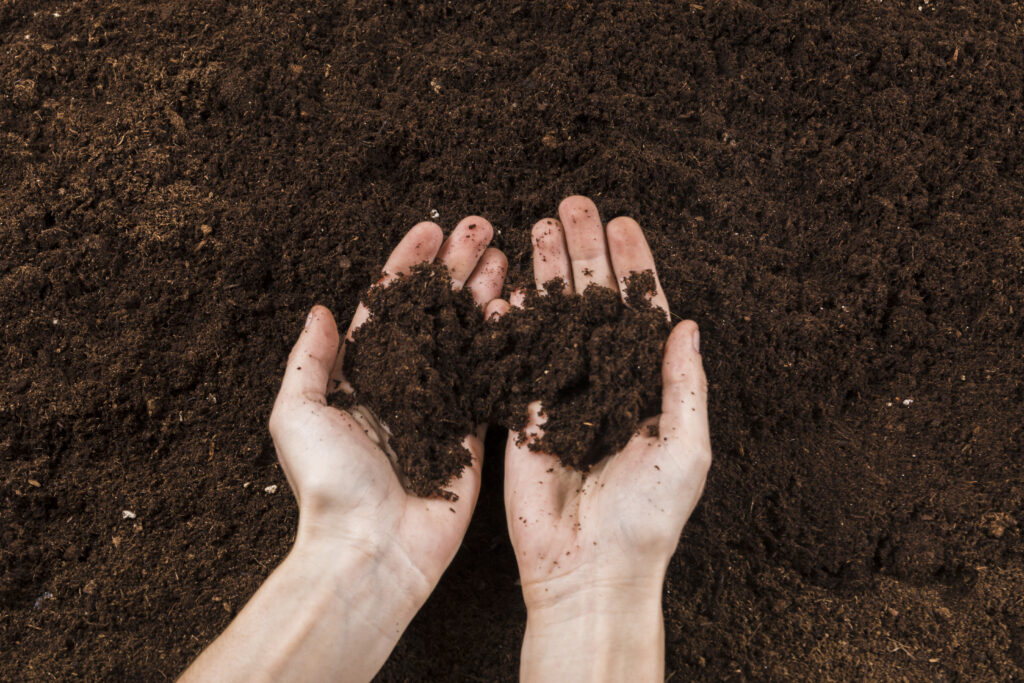 Biodiversité. La préservation des sols, enjeu vital pour l’humanité