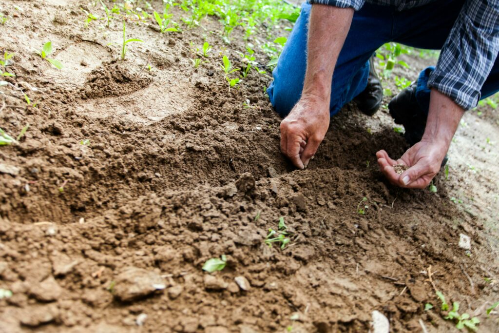 Le Modef appelle les agricultrices et les agriculteurs à se mobiliser le 8 novembre