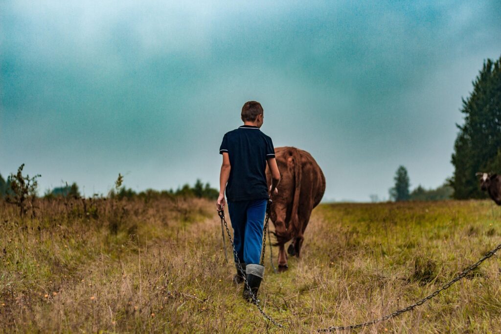 Retour à la terre : qui sont ces actifs en quête de reconversion agricole ?
